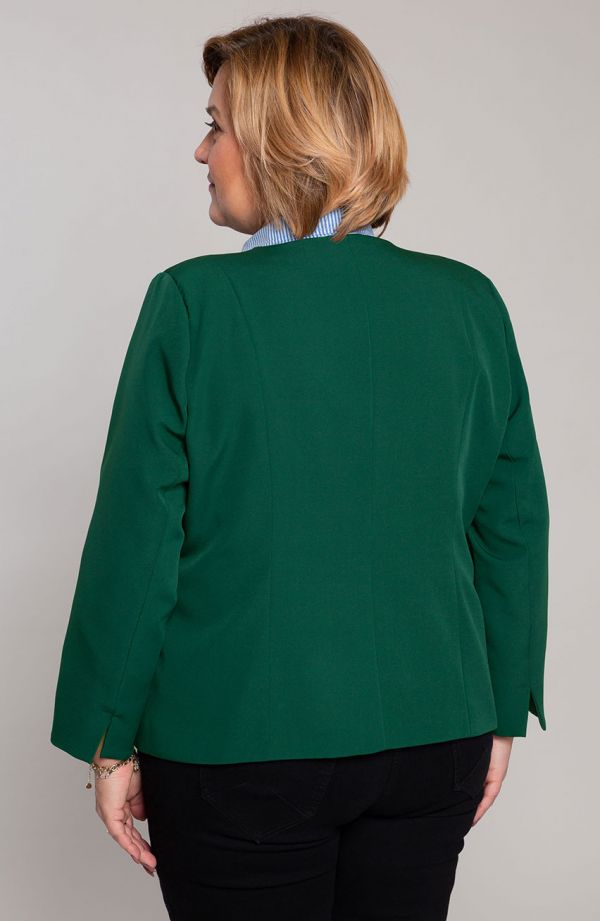 Roheline elegantne voodriga jakk