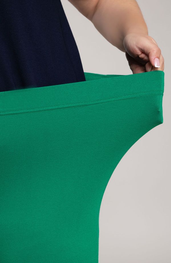 Klasyczne spodnie w kolorze grynszpanu